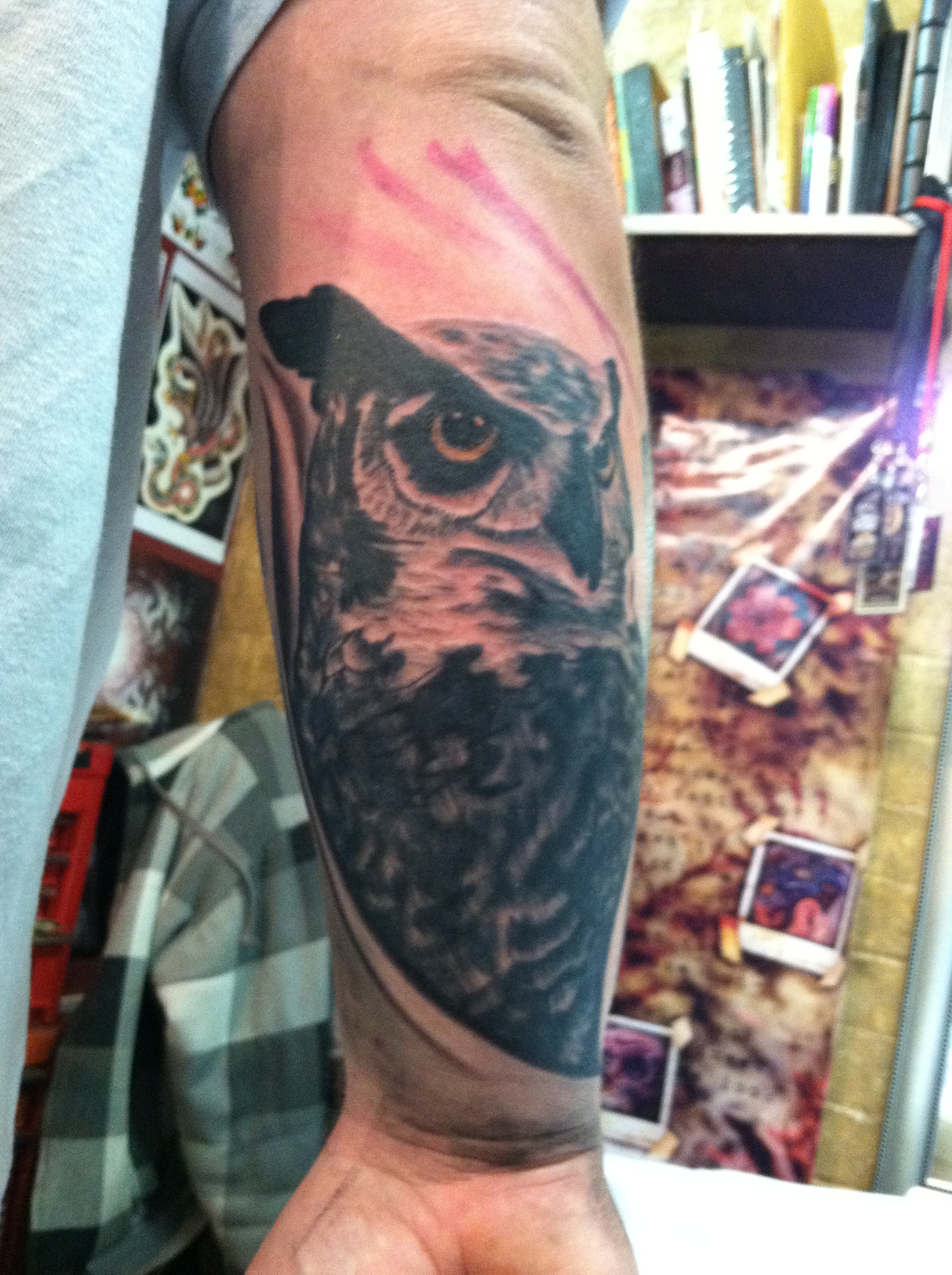 cool_realistic_black_and_grey_owl_portrait_arm_tattoo_by_david_meek_tattoos_tucson_arizona