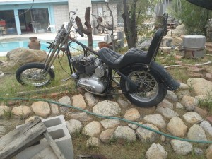 my new project, 1971 harley davidson ironhead rigid chop. cant wait to make it groovy